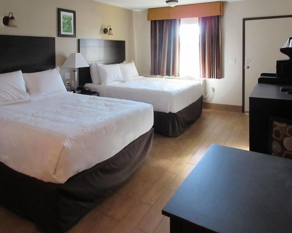 Quality Inn & Suites Bakersfield Dış mekan fotoğraf